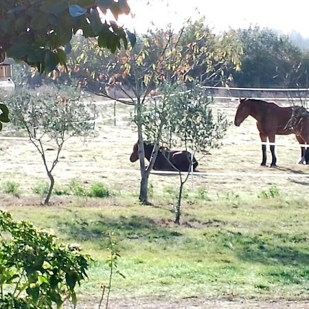 Appartamento La Rivière Damazan Esterno foto