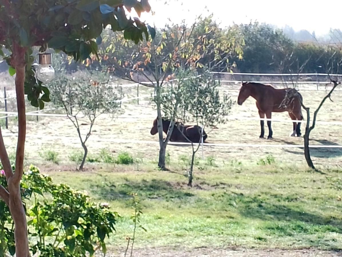 Appartamento La Rivière Damazan Esterno foto
